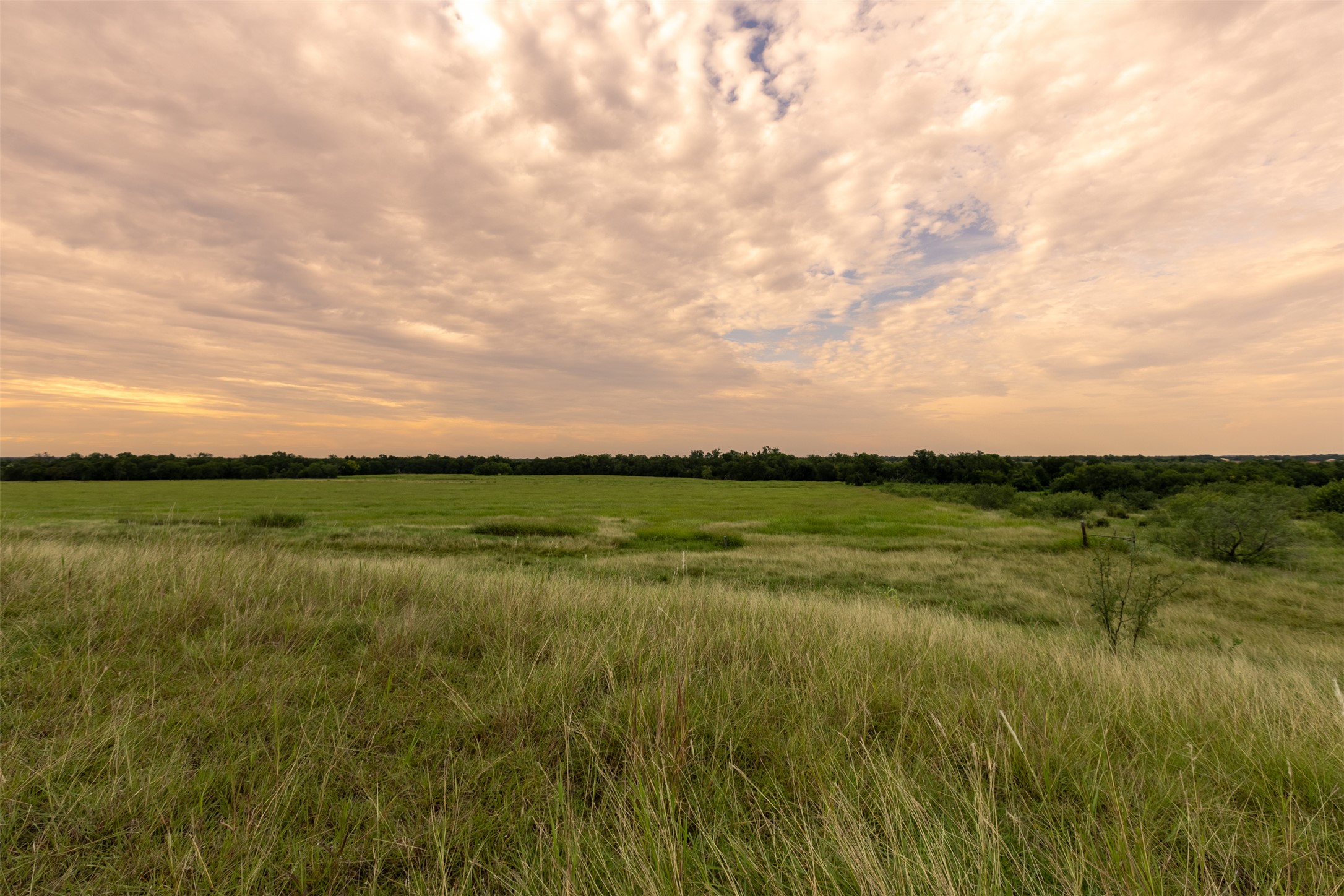10966 Stringtown Road Temple, TX 76501 - Photo 18 of 24 a view of lake with green space
