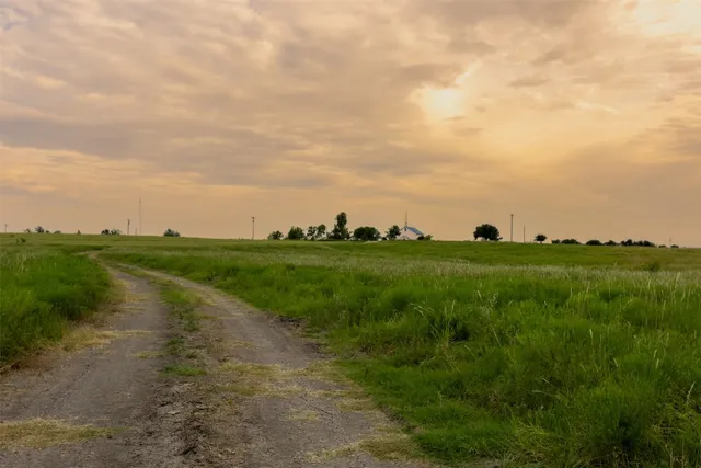 a view of a field with grass and trees