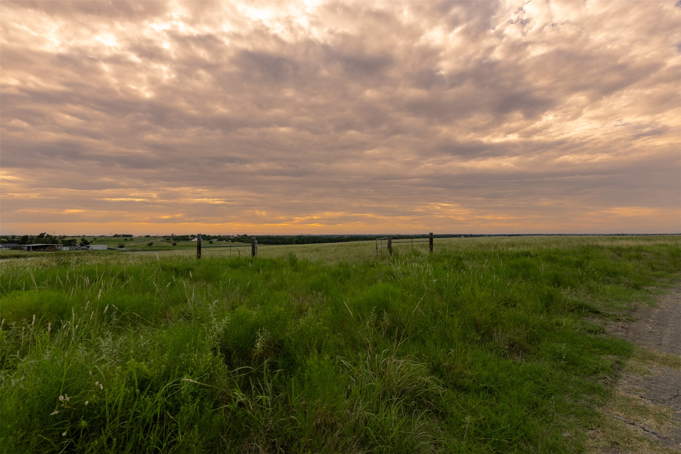 10966 Stringtown Road Temple, TX 76501 - Photo 20 of 24 a view of a field of grass and trees