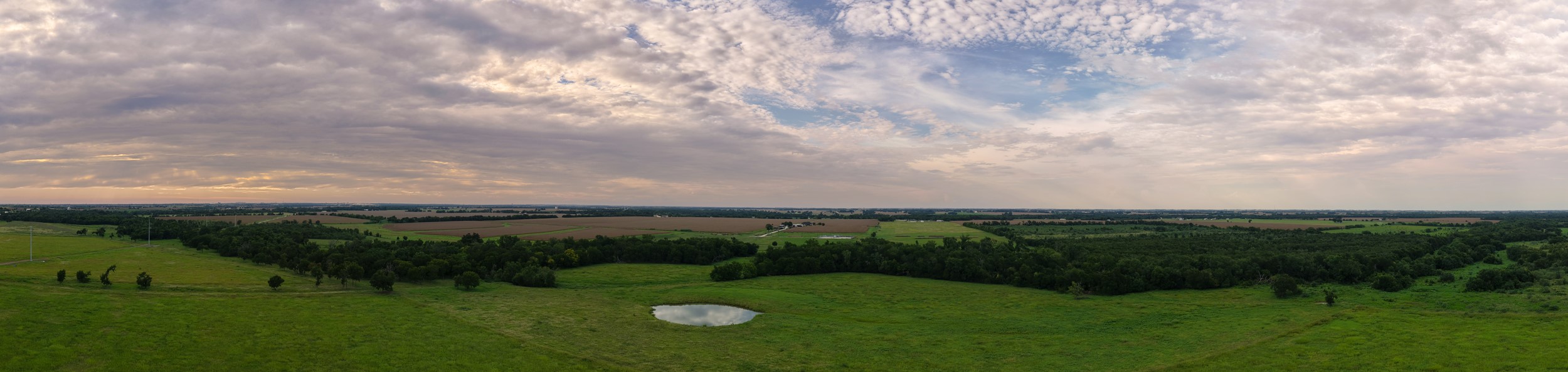 10966 Stringtown Road Temple, TX 76501 - Photo 23 of 24 a view of a big yard with potted plants and sky view