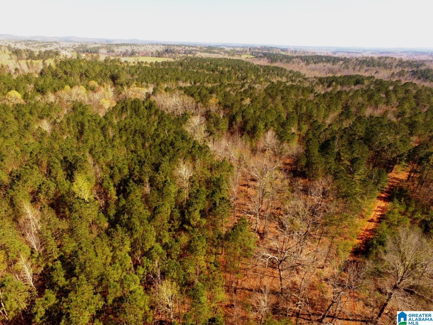 3045 Corinth Road, Unit 56 ACRES Cragford, AL 36255 - Photo 16 of 29