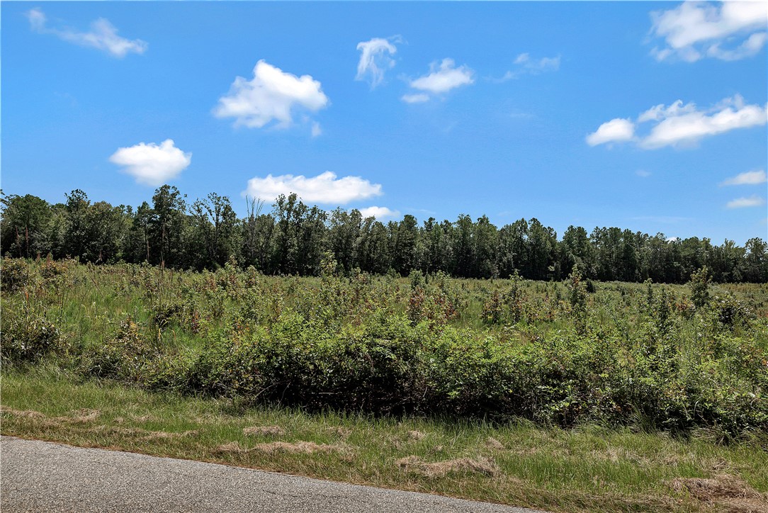 0 Brown Road Starr, SC 29684 - Photo 1 of 12 A verdant field stretches towards a dense tree line under a bright, blue sky.
