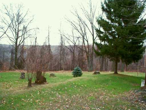 501 Chicora Road Butler, PA 16001 - Photo 5 of 7