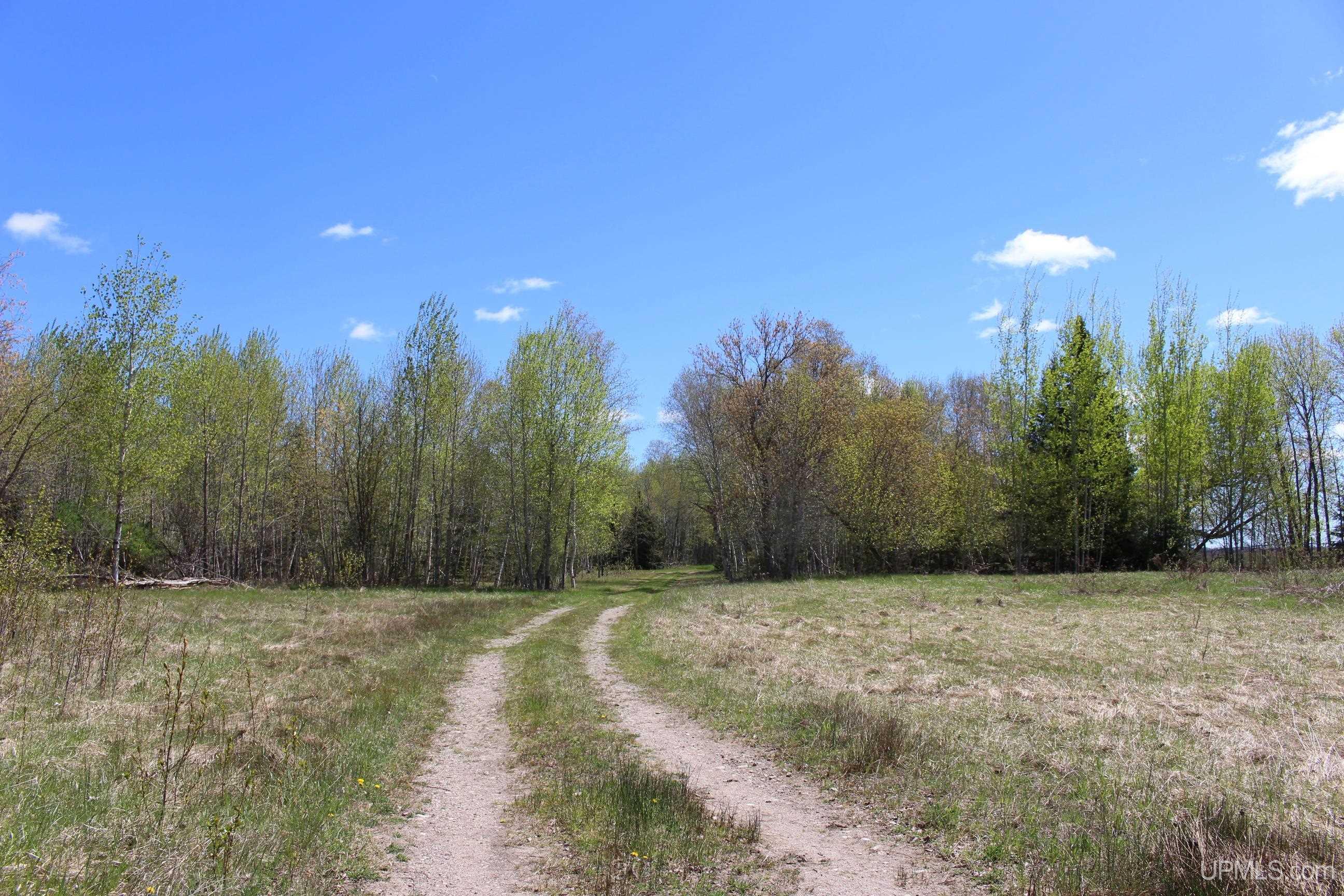 23.5 Rd Gladstone Mi 49837 Road Gladstone, MI 49837 - Photo 4 of 50