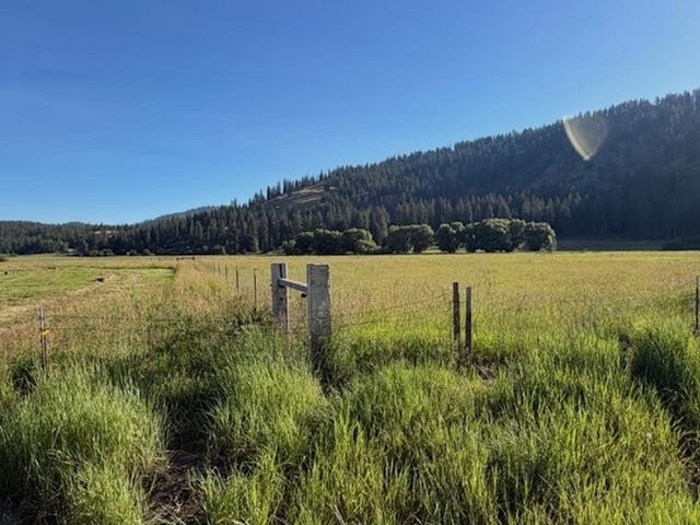 29-xx Red Marble Road Chewelah, WA 99109 - Photo 13 of 19