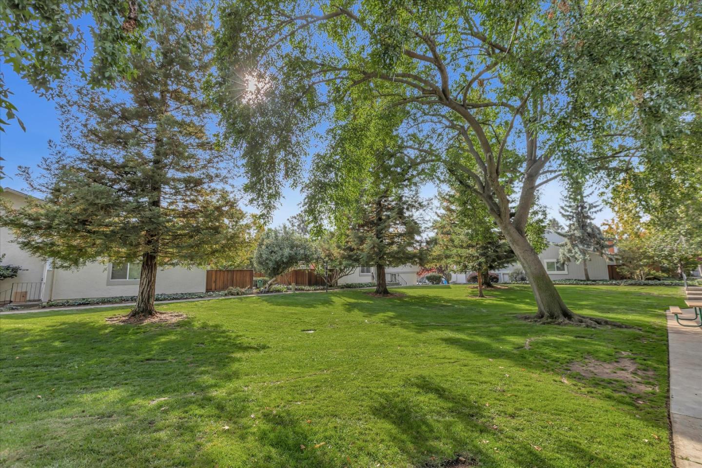 10961 Northsky Square Cupertino, CA 95014 - Photo 50 of 50 a view of a trees in a park