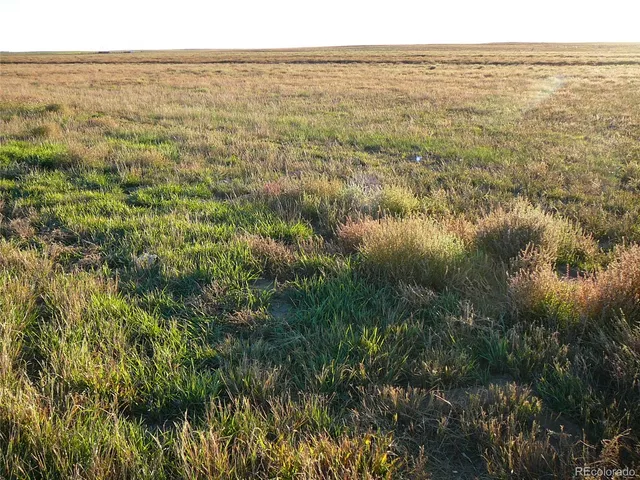 a view of city and ocean