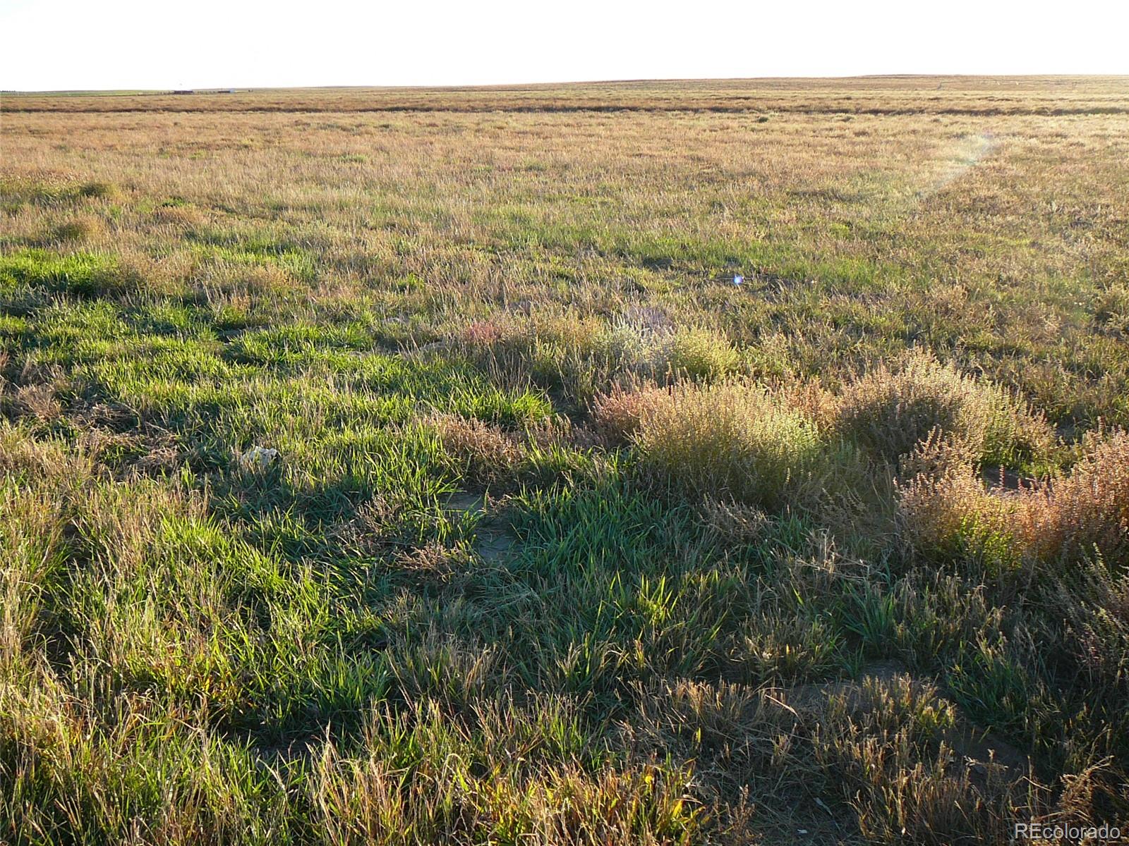 a view of city and ocean