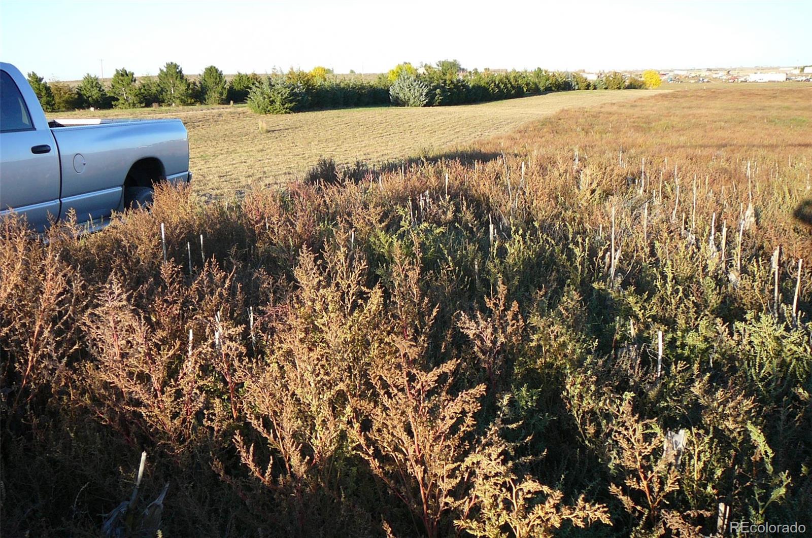 52 Wiggins Co 80654 Wiggins, CO 80654 - Photo 4 of 10 a view of lake view and mountain view