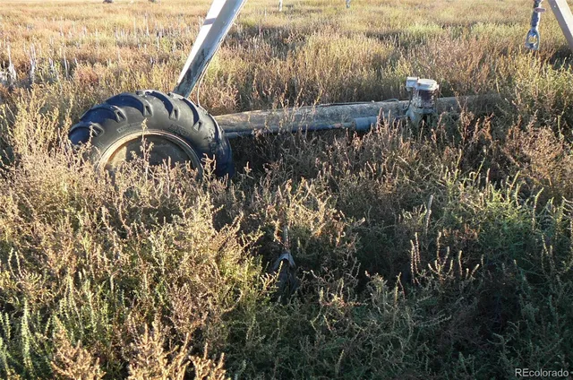 a view of a lake with a tree in the background