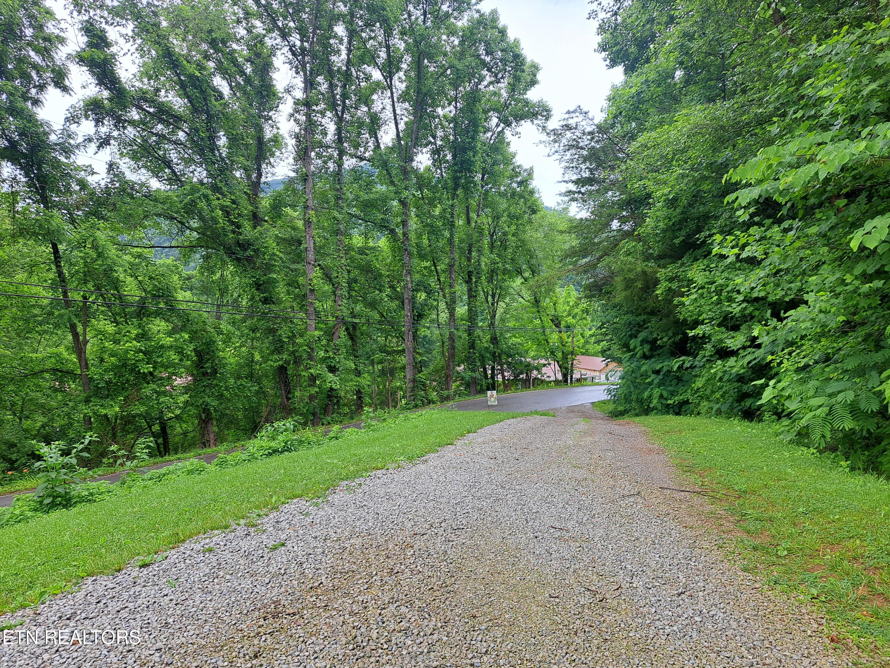 5785 Norma Road Huntsville, TN 37756 - Photo 34 of 43 20240605_144326