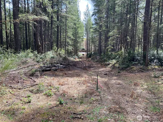 $175,000 | 4 East Mason Lake Road, Grapeview, WA 98546