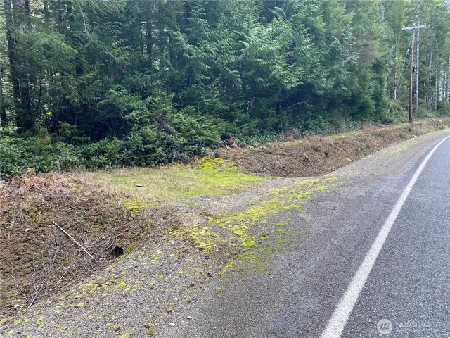 $175,000 | 4 East Mason Lake Road, Grapeview, WA 98546