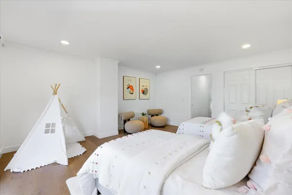 a view of a pathway with plants and large trees