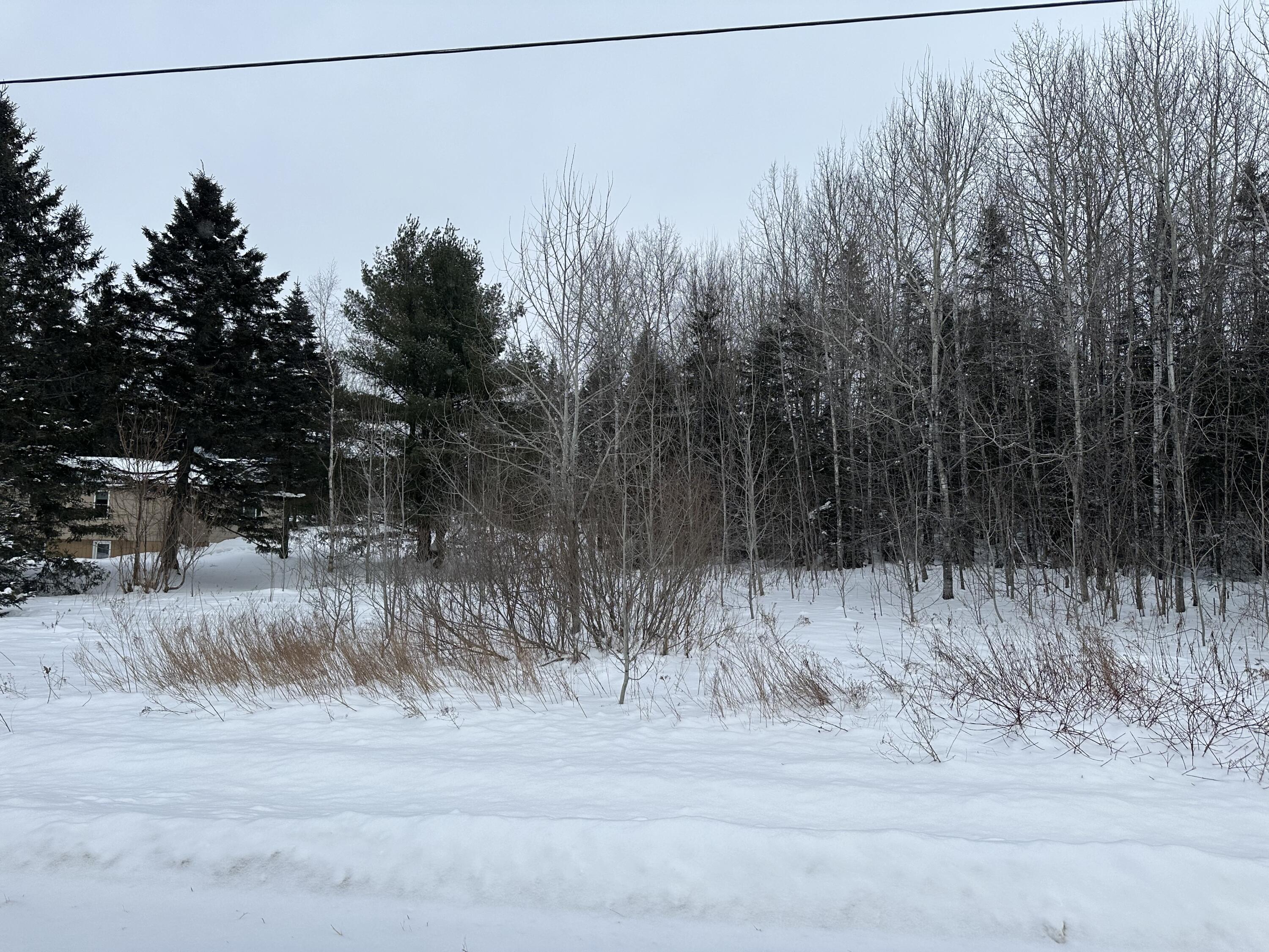 Lot 26 Belyea Road Caribou, ME 04736 - Photo 3 of 3 IMG_5919