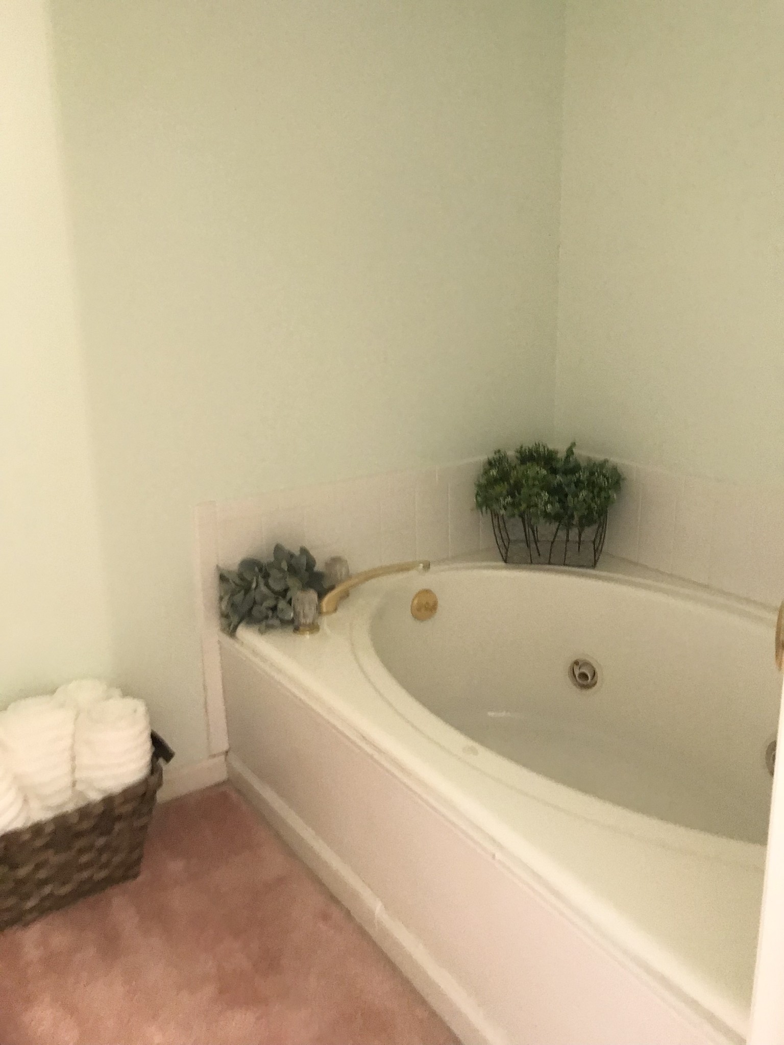 1903 Palmer Drive Springfield, TN 37172 - Photo 39 of 51