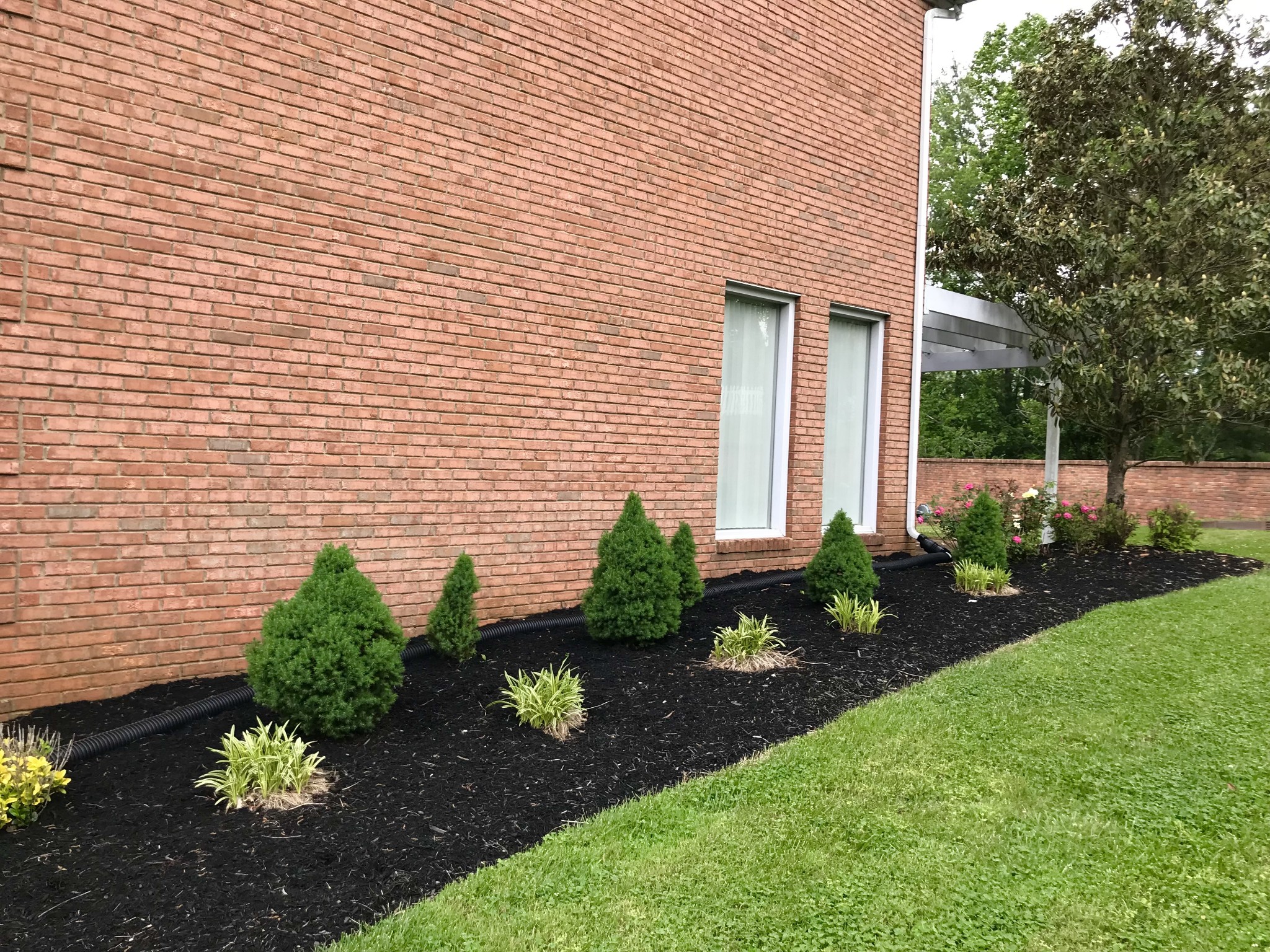 1903 Palmer Drive Springfield, TN 37172 - Photo 44 of 51