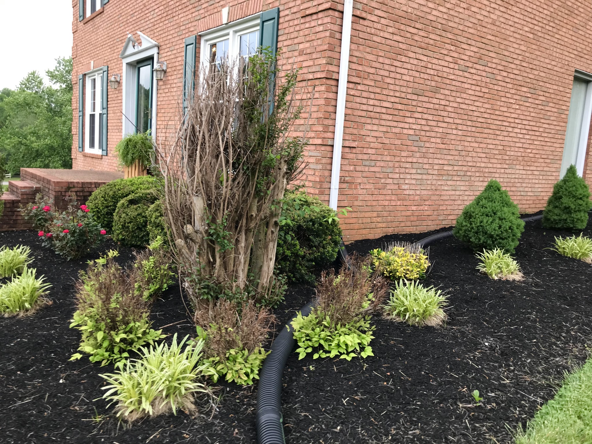 1903 Palmer Drive Springfield, TN 37172 - Photo 45 of 51