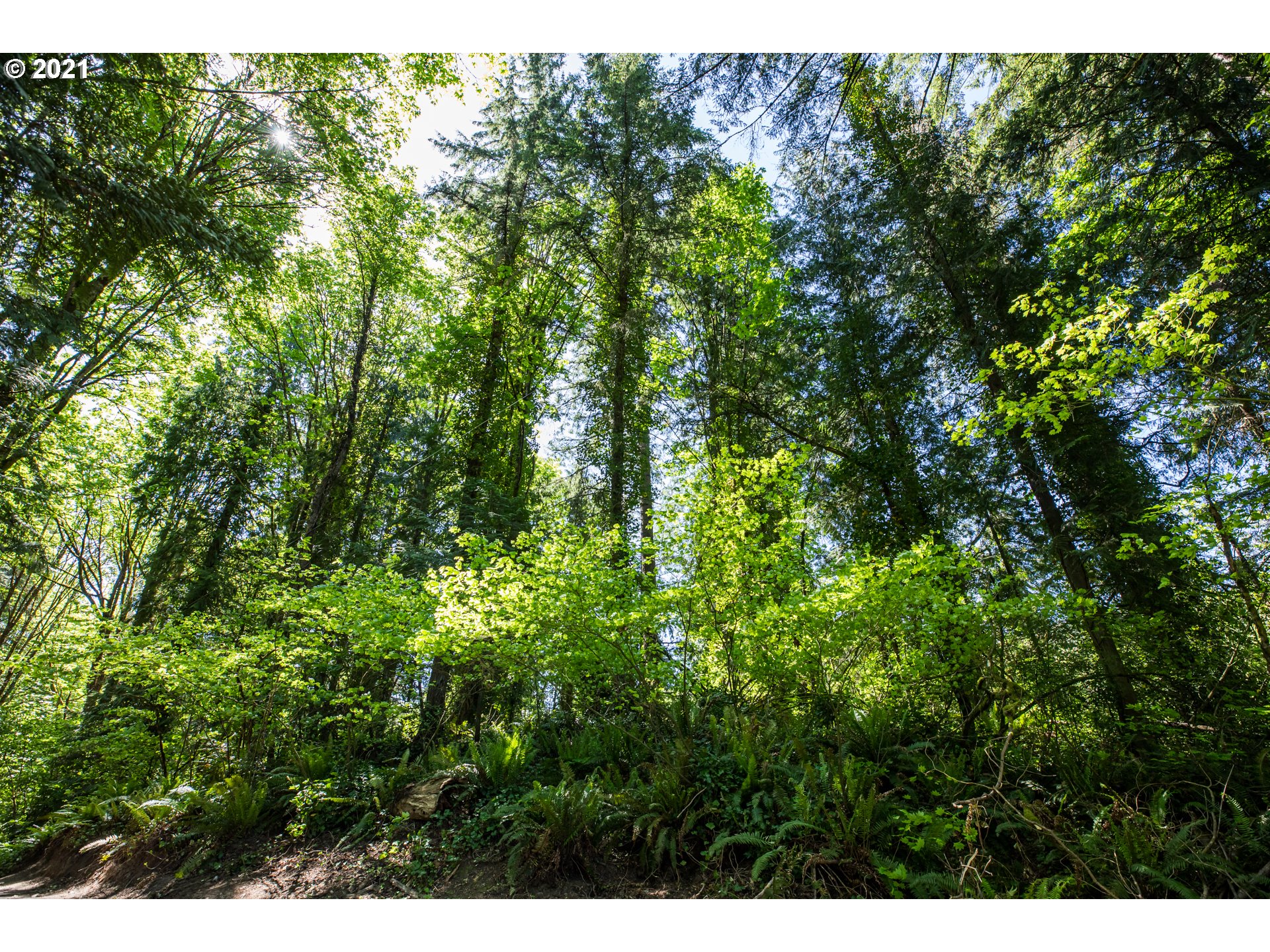 Laurelwood Road Rainier, OR 97048 - Photo 2 of 6 Gallery Image 2