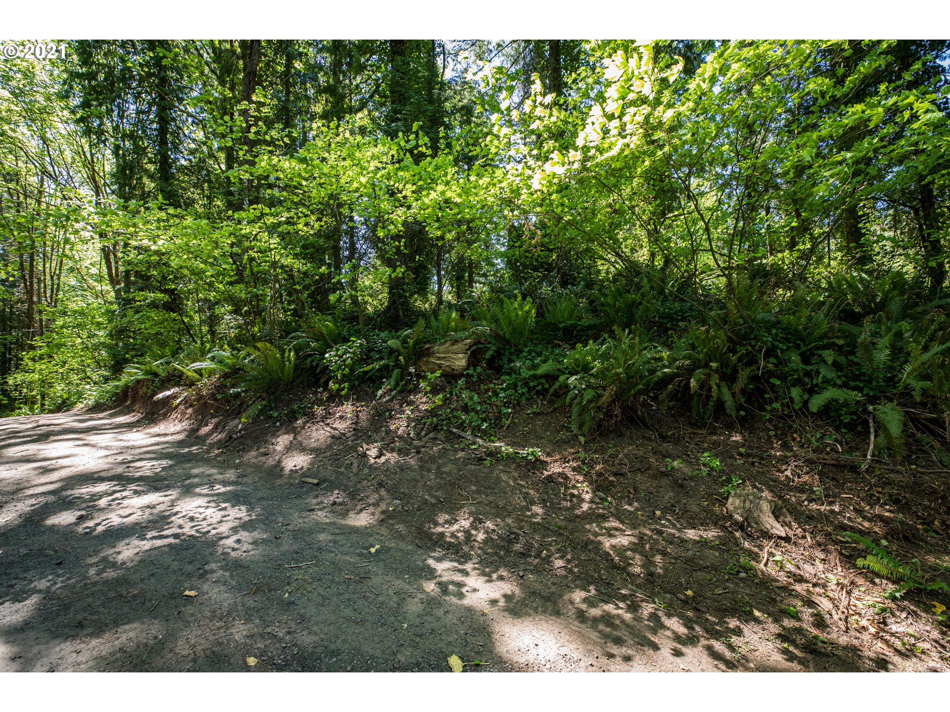 Laurelwood Road Rainier, OR 97048 - Photo 6 of 6 Gallery Image 6