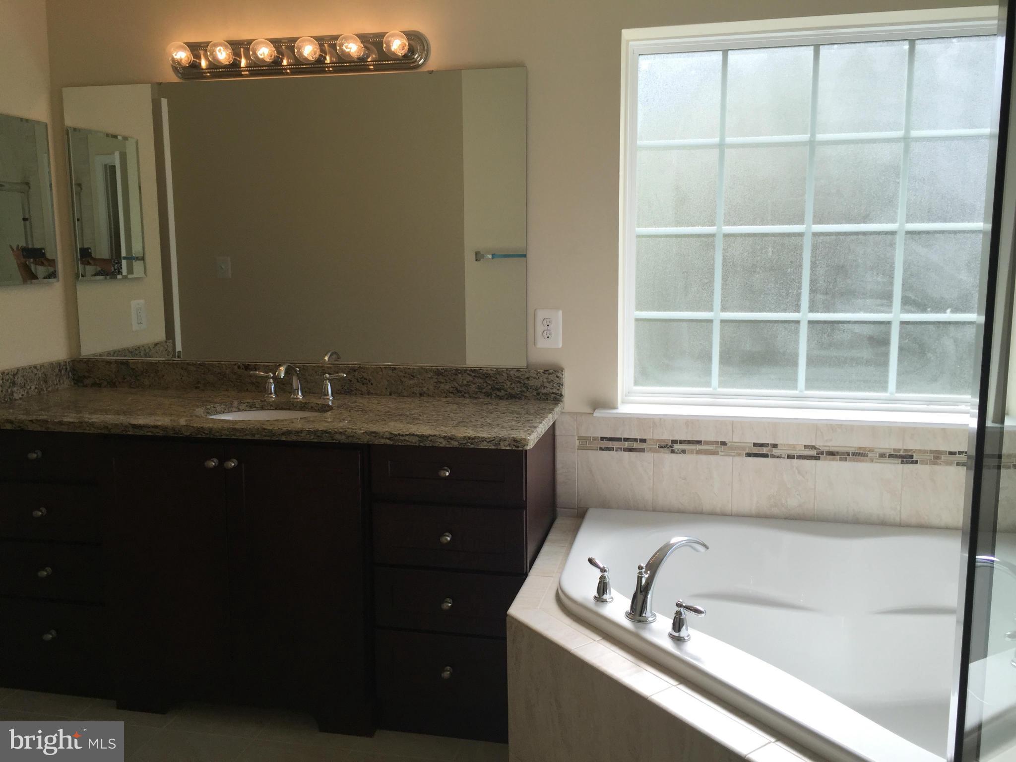 10301 Brandywine Road Clinton, MD 20735 - Photo 5 of 12 Bath (Master)