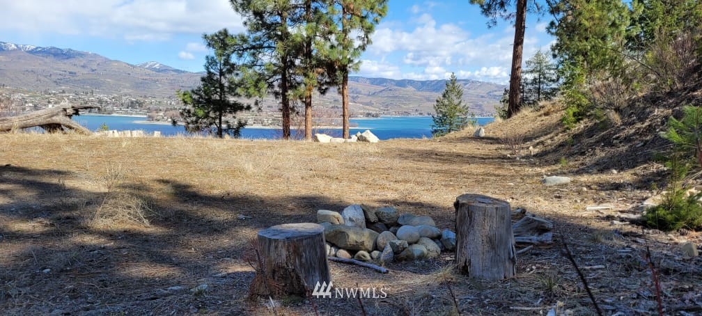 7367 Ridgeview Drive Chelan, WA 98816 - Photo 1 of 15 Gallery Image 1