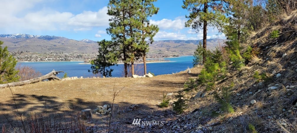 7367 Ridgeview Drive Chelan, WA 98816 - Photo 4 of 15 Gallery Image 4
