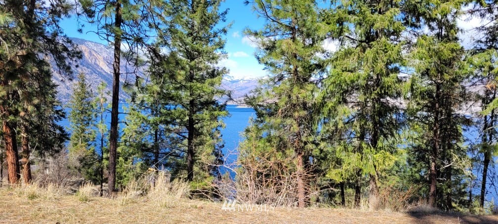 7367 Ridgeview Drive Chelan, WA 98816 - Photo 5 of 15 Gallery Image 5