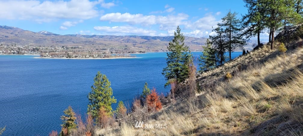 7367 Ridgeview Drive Chelan, WA 98816 - Photo 8 of 15 Gallery Image 8