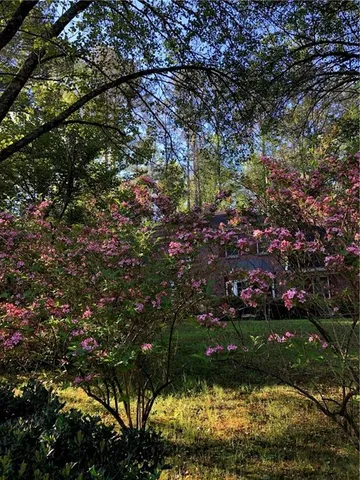 a view of a flower arrangement in a backyard