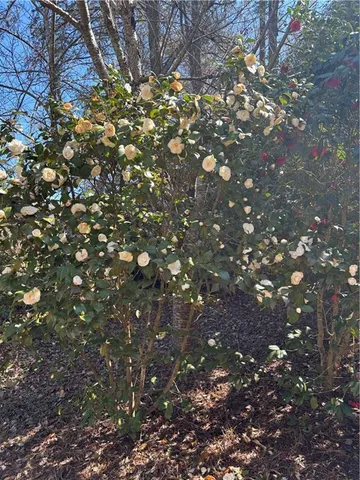 $690,000 | 2095 Shallowford Park Manor, Roswell, GA 30075