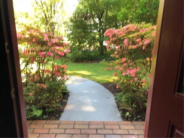 a view of a pathway with a yard