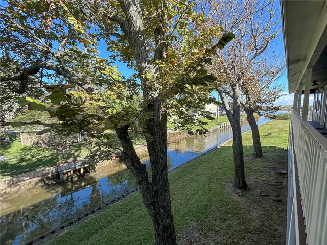 a view of a trees in a yard