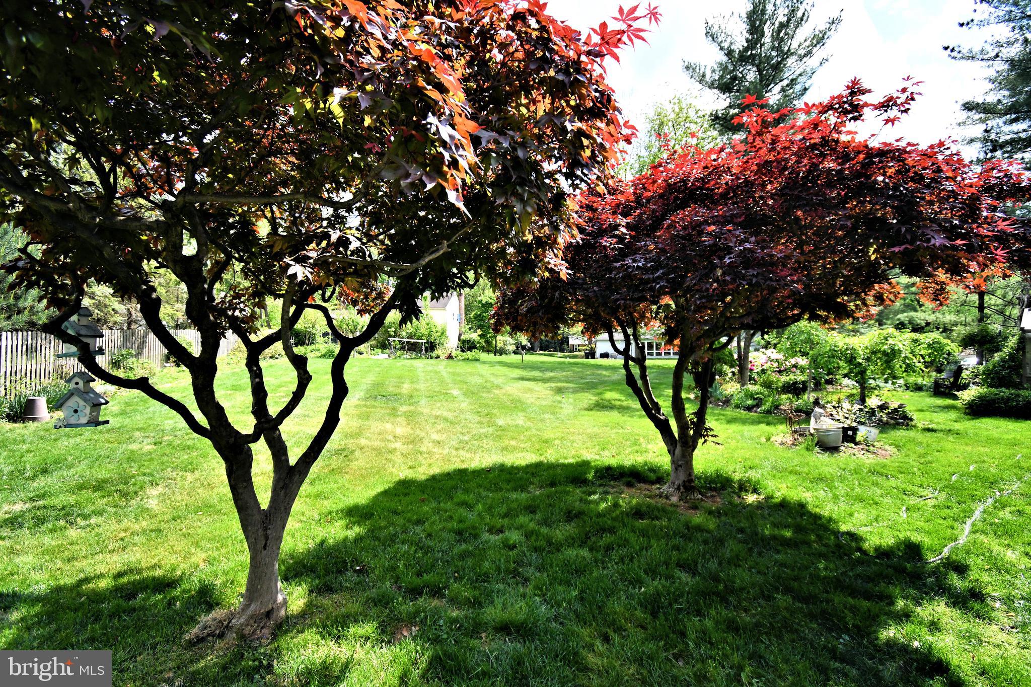 816 Glenn Circle Wayne, PA 19087 - Photo 51 of 63