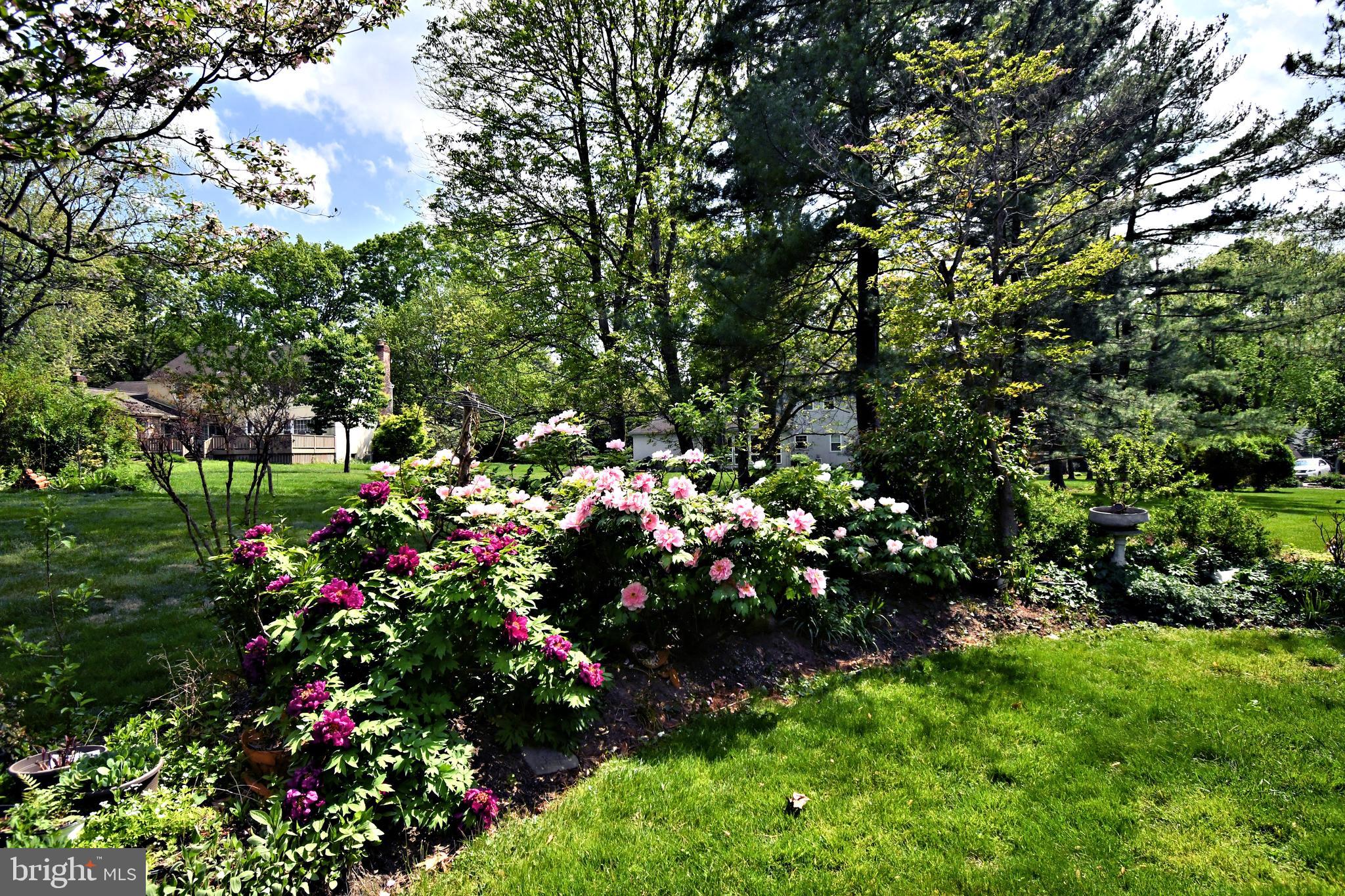 816 Glenn Circle Wayne, PA 19087 - Photo 54 of 63 a view of a flower in a garden