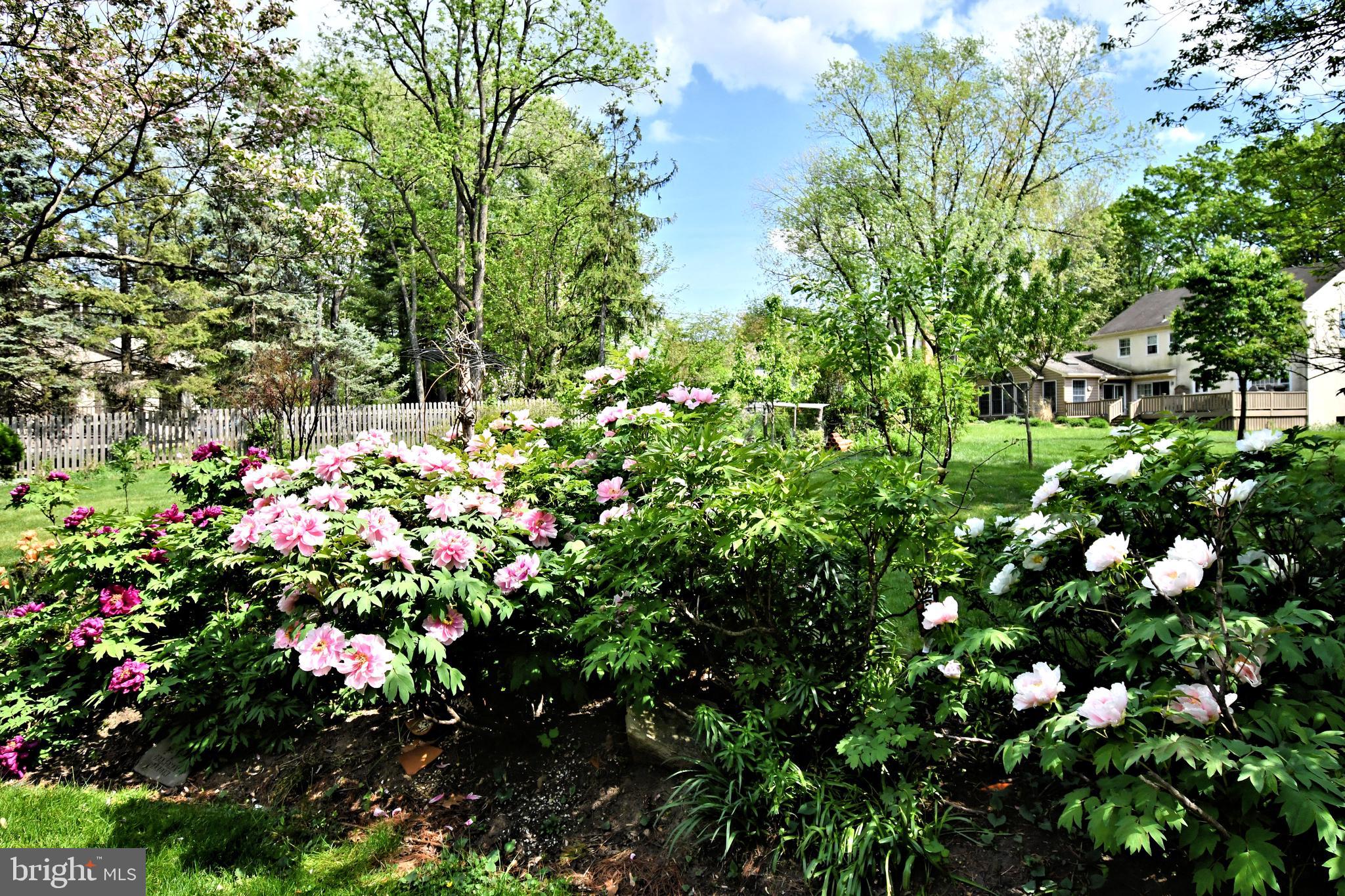 816 Glenn Circle Wayne, PA 19087 - Photo 57 of 63 a view of flowers in bunch