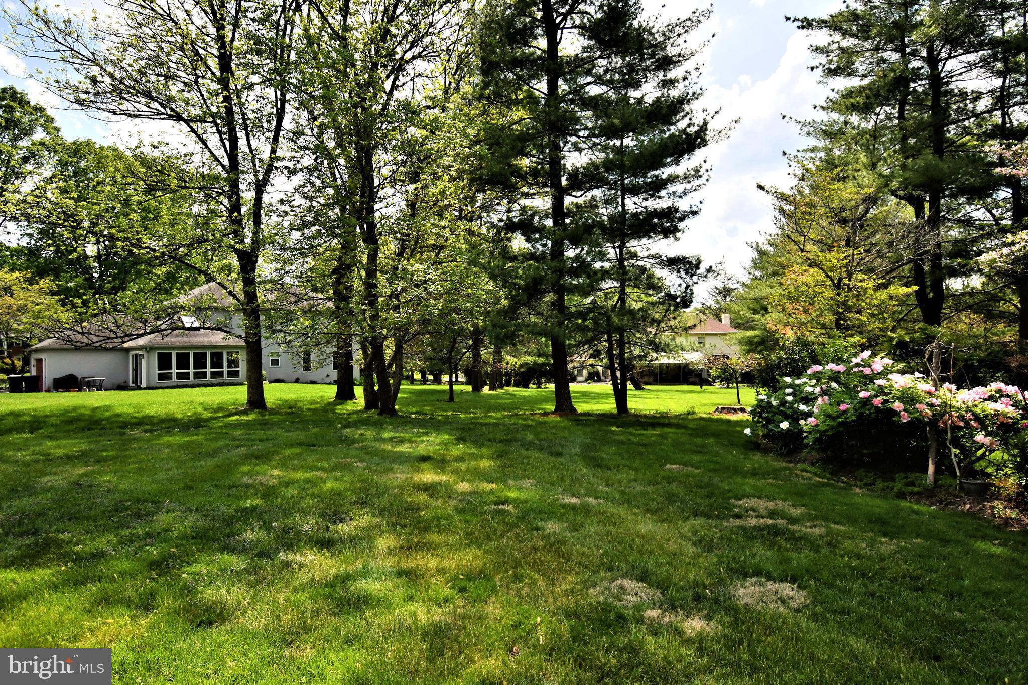 816 Glenn Circle Wayne, PA 19087 - Photo 63 of 63 a view of a trees in front of a big yard