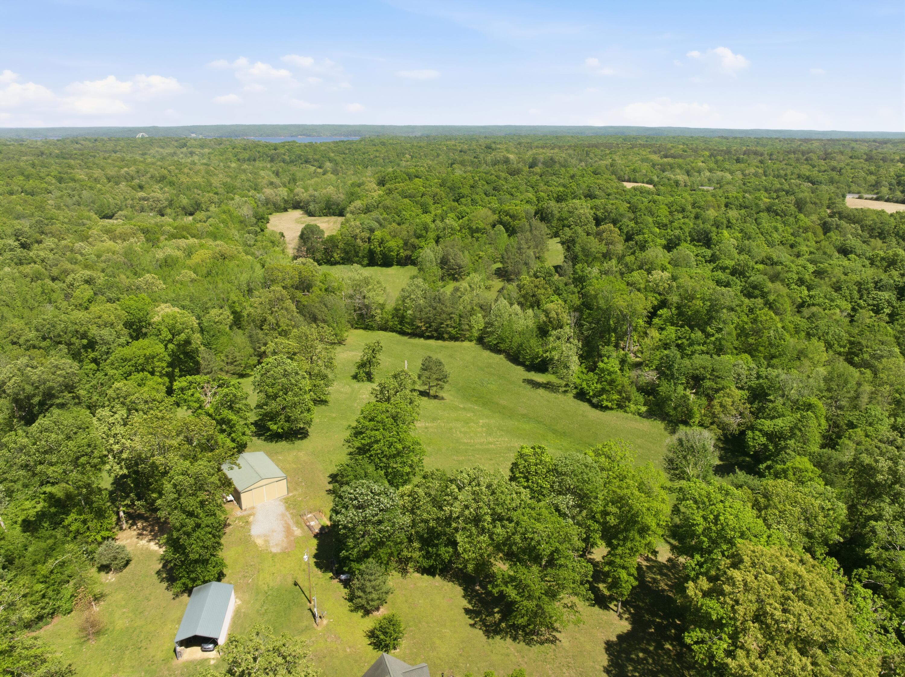 846 Rudolph Road Dexter, KY 42036 - Photo 54 of 60 Pasture/Wooded
