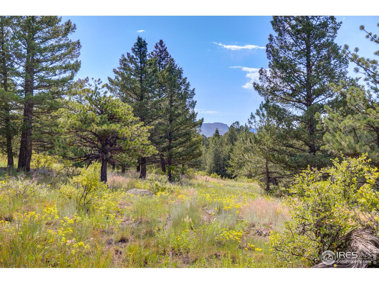 4 Lakeshore Park Road Boulder, CO 80302 - Photo 12 of 27 Gallery Image 12