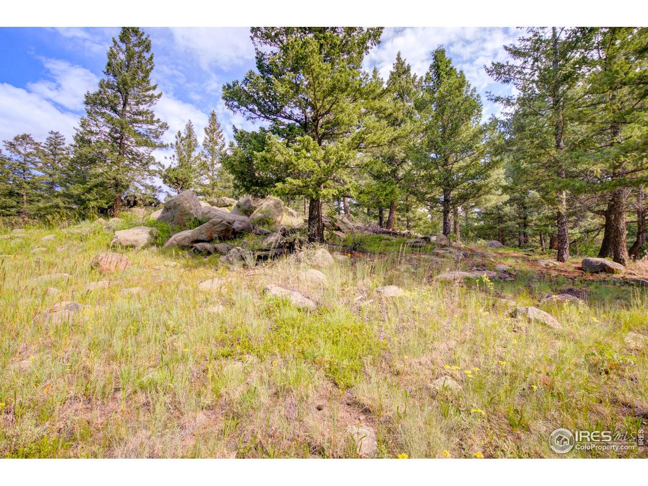 4 Lakeshore Park Road Boulder, CO 80302 - Photo 4 of 27 Gallery Image 4