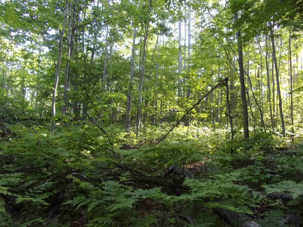 0 South Seeley Road McBain, MI 49657 - Photo 10 of 23 Gallery Image 10
