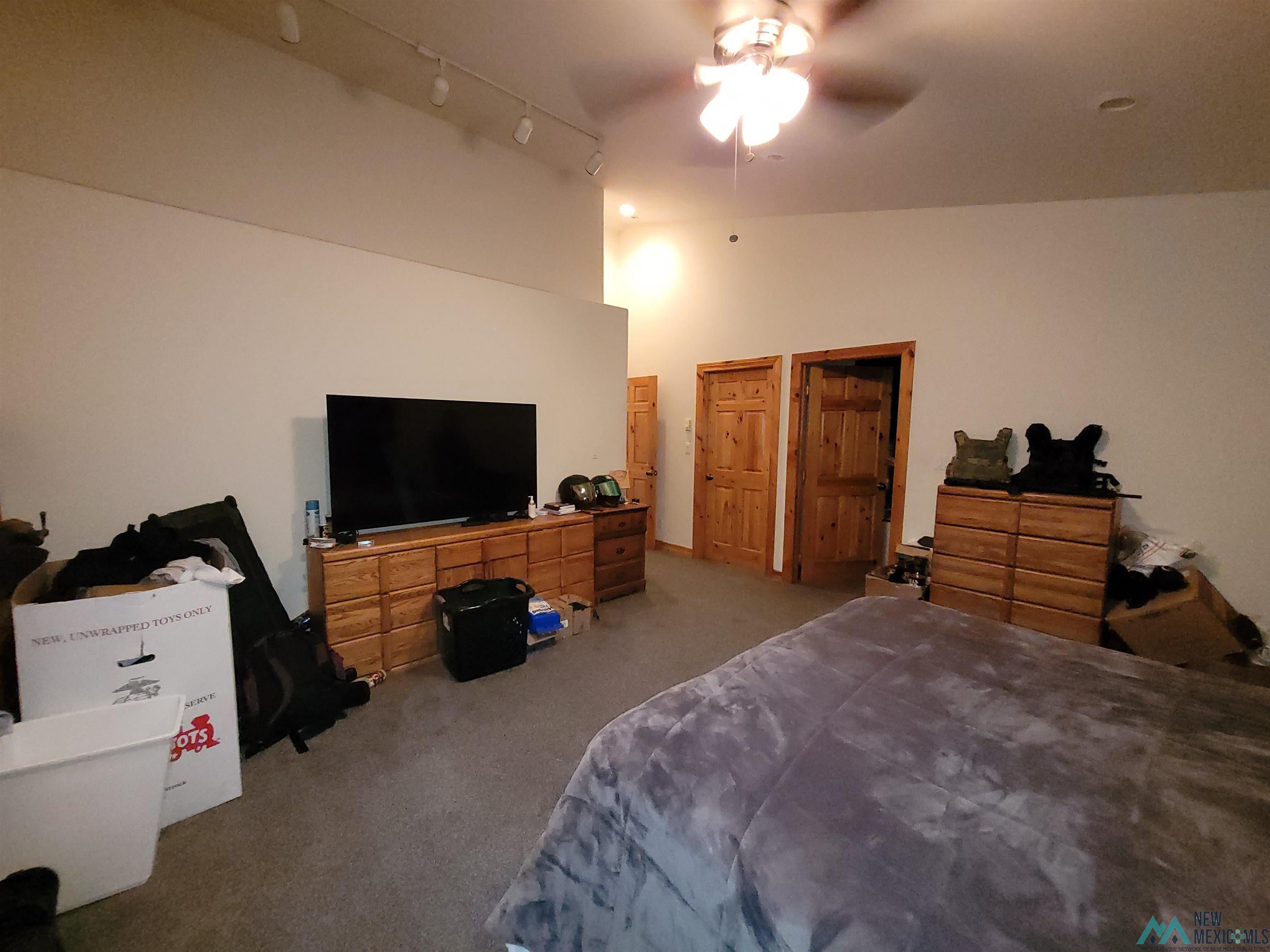 450 Francis Avenue Raton, NM 87740 - Photo 27 of 52 Bedroom with carpet, rail lighting, high vaulted ceiling, a ceiling fan, and two closets and access to bonus room/office.