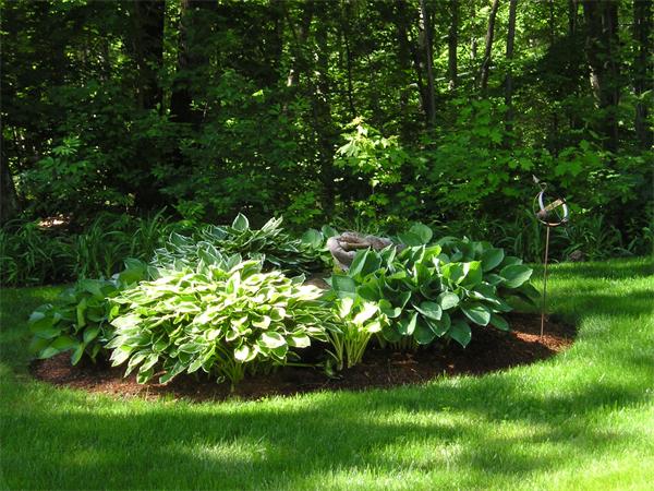 43 Town Farm Road Westminster, MA 01473 - Photo 4 of 27 Gallery Image 4
