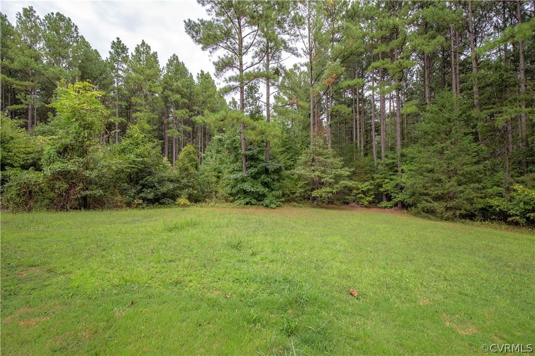 473 Goodwin Store Road Louisa, VA 23093 - Photo 24 of 28 a view of a big yard with plants and large trees
