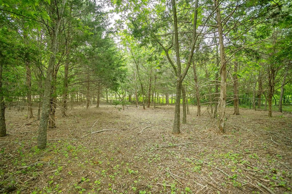 2700 East Fm 4 Cleburne, TX 76031 - Photo 11 of 33 a view of outdoor space with trees