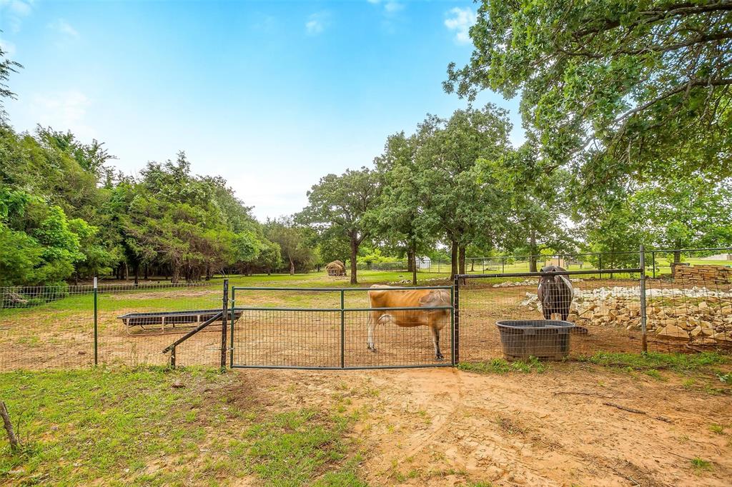 2700 East Fm 4 Cleburne, TX 76031 - Photo 13 of 33 a view of a park with large trees