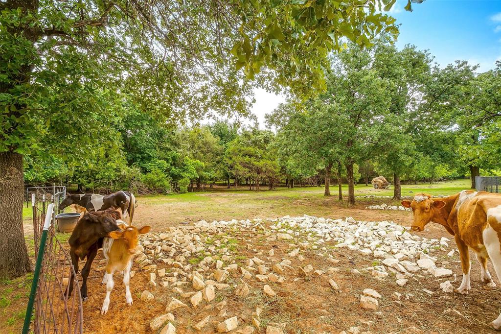 2700 East Fm 4 Cleburne, TX 76031 - Photo 14 of 33 a view of a yard with an outdoor space