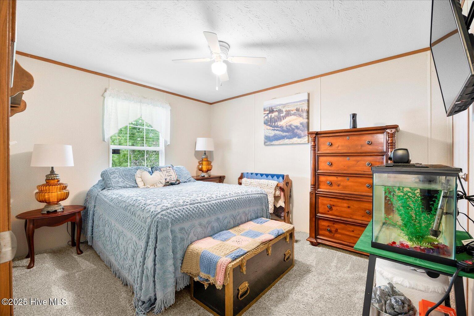444 Chicken Neck Road Teachey, NC 28464 - Photo 20 of 35 25-IMG_3921