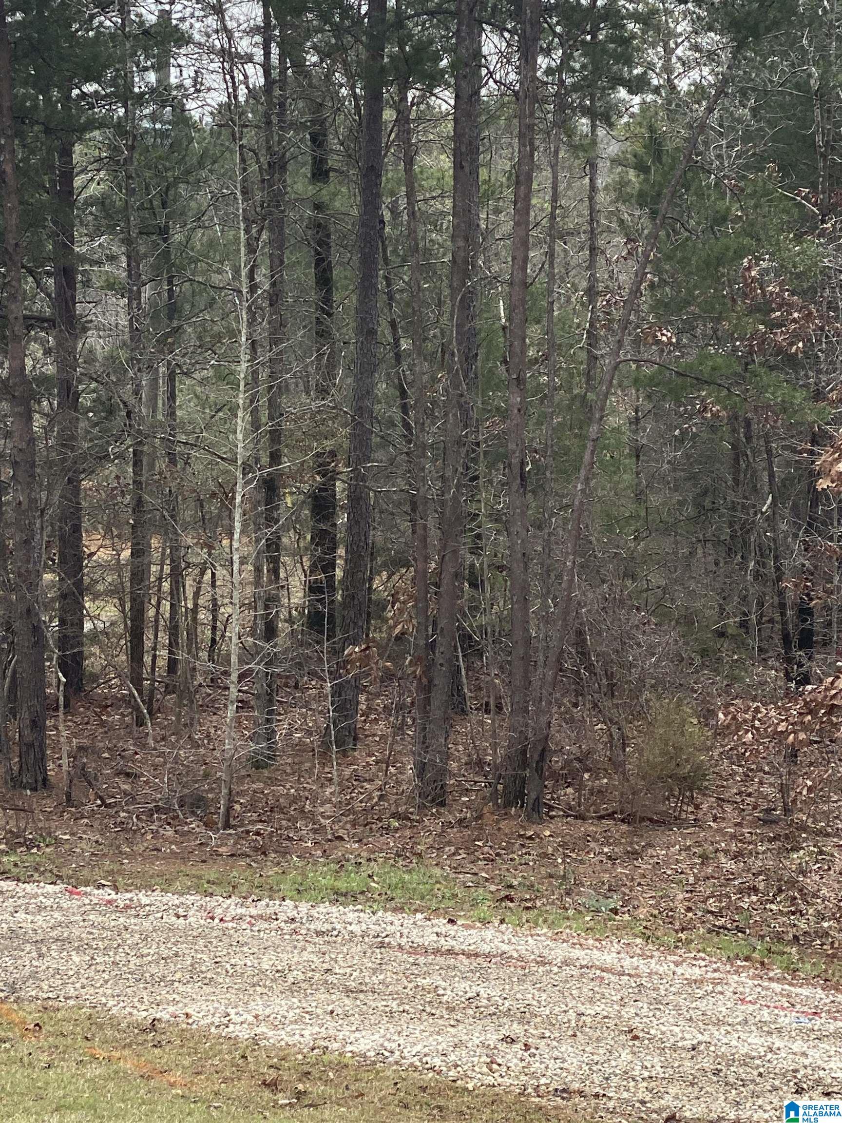 0 Pongee Drive, Unit 14 McCalla, AL 35111 - Photo 1 of 1