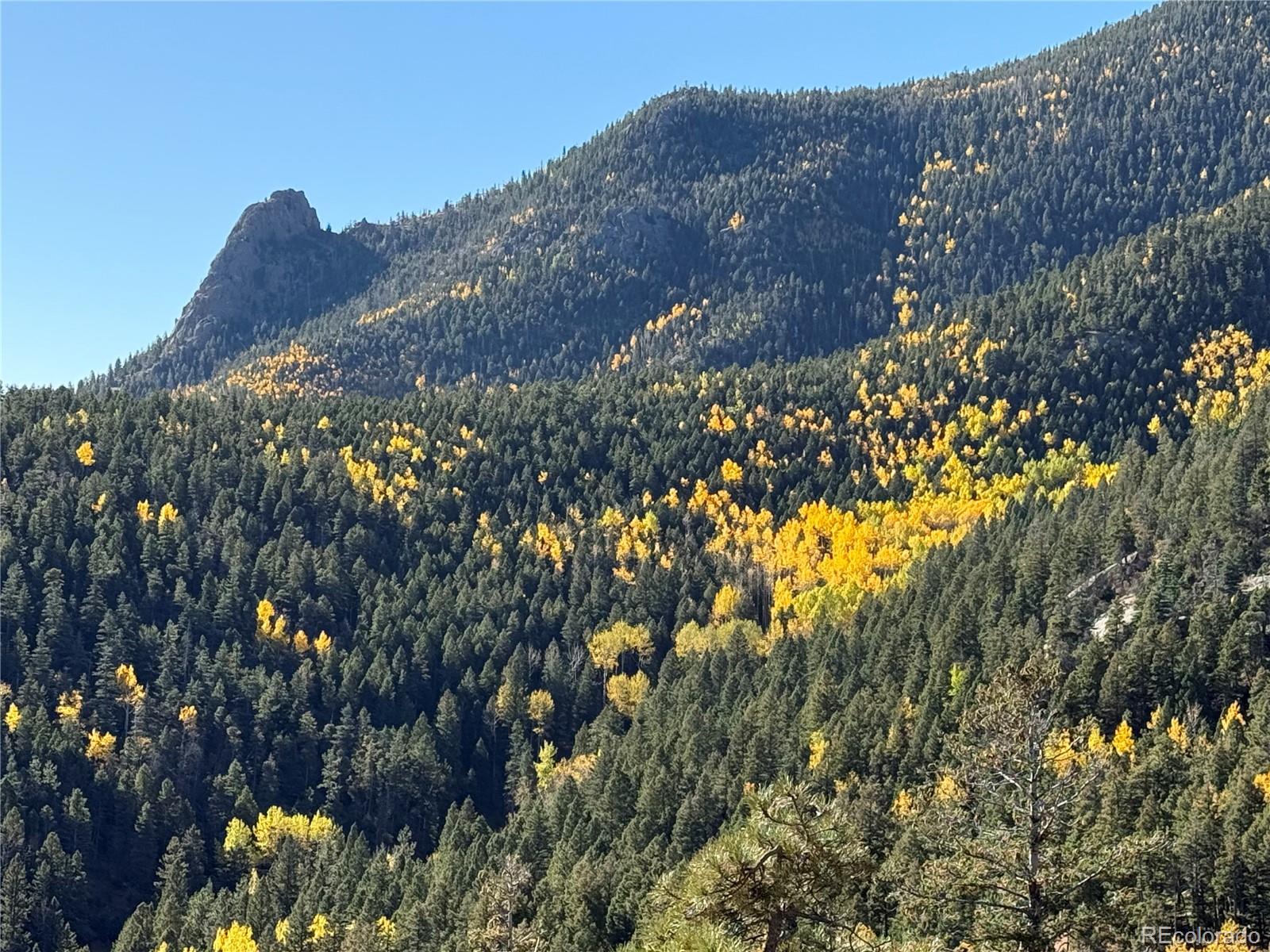 515 Ponderosa Road Manitou Springs, CO 80829 - Photo 7 of 50